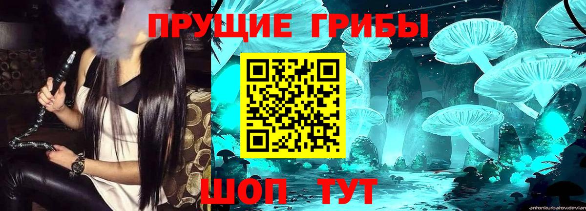 купить   Псилоцибиновые грибы ЛСД  Вход с VPN  Трёхгорный 